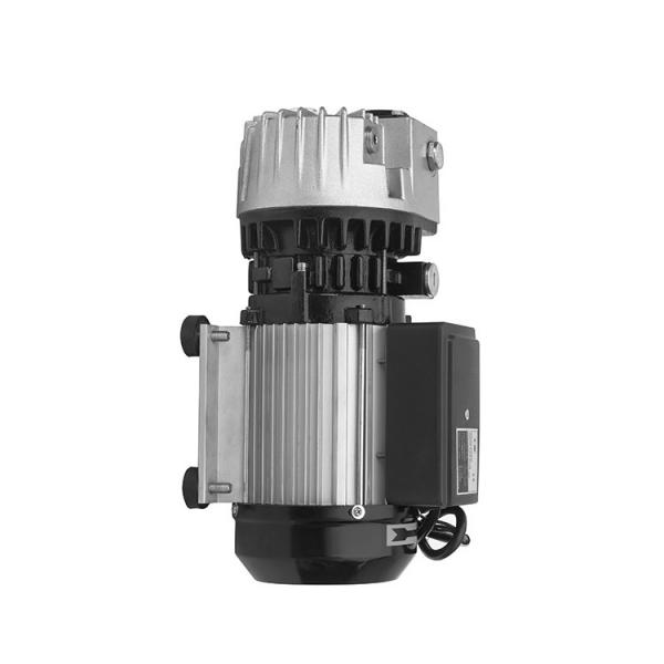NACHI VDS-OA-1A3-10 VDS pompe à palettes #1 image